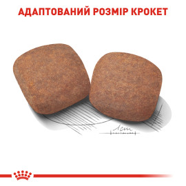 Корм для собак Royal Canin GIANT ADULT