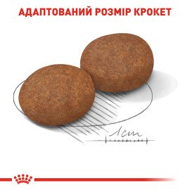 Royal Canin Medium Adult 7+ 