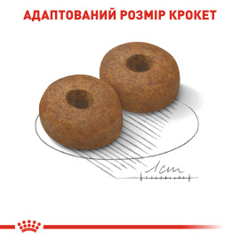 Royal Canin Maxi Ageing 8+