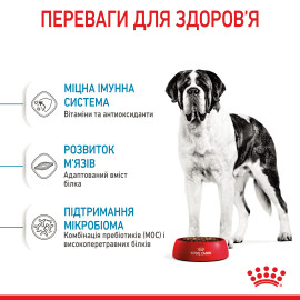 Royal Canin GIANT JUNIOR 15кг