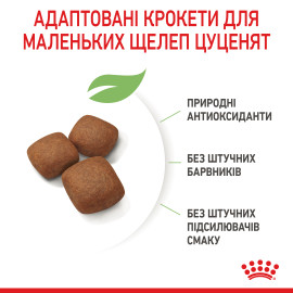Royal Canin GIANT JUNIOR 15кг