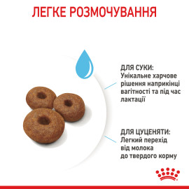 Royal Canin  MAXI STARTER