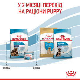 Royal Canin  MAXI STARTER