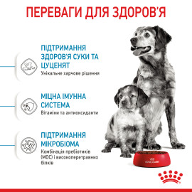 Royal Canin MEDIUM STARTER