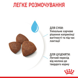 Royal Canin MEDIUM STARTER