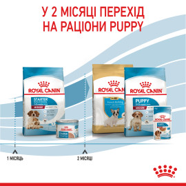 Royal Canin MEDIUM STARTER