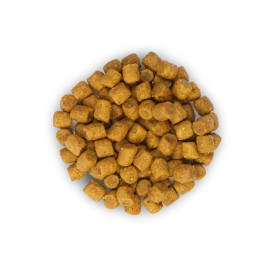 Hill s™ Science Plan™ Feline Adult Хилс с Ягненком корм для кошек