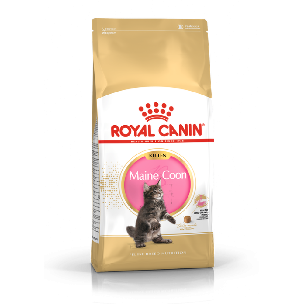 Royal Canin Kitten Maine Coon корм для котят породы Мейн Кун
