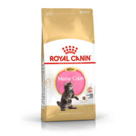 Royal Canin Kitten Maine Coon корм для котят породы Мейн Кун
