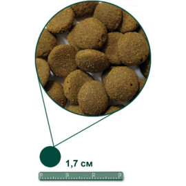 Arden Grange Adult Dog Large Breed with fresh chicken & rice сухой корм для взрослых собак крупных пород