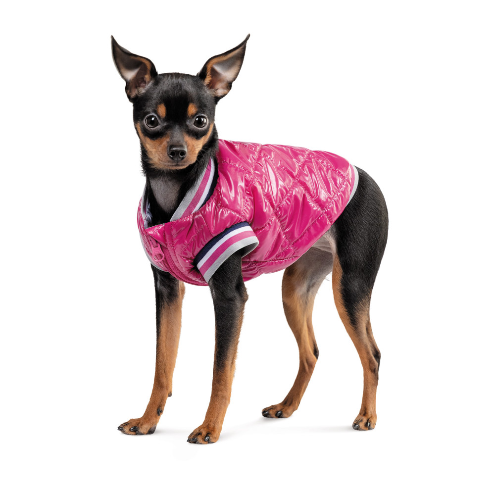 Бомбер Grace Pet Fashion