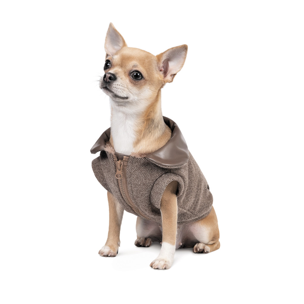 Жакет Hurry Pet Fashion