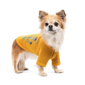 Кардиган для собак Denis Pet Fashion 