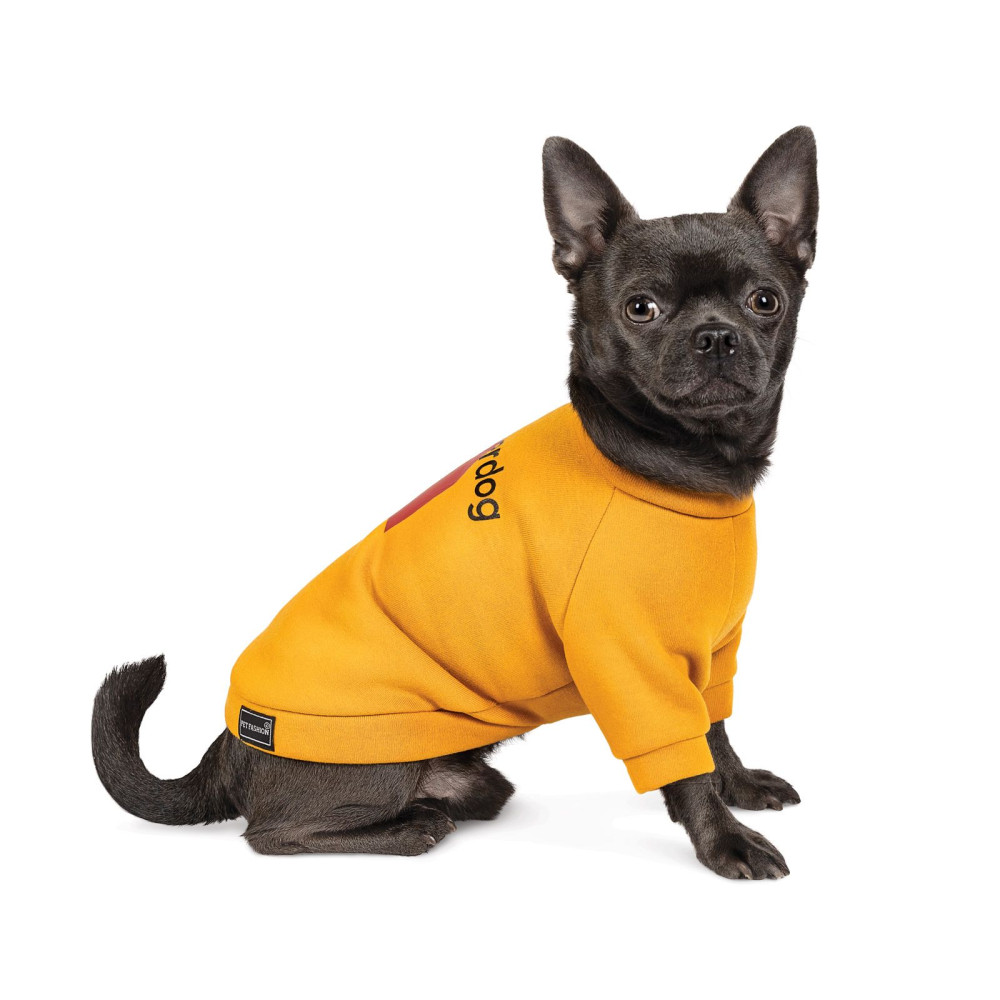 Толстовка Superdog оранжевая Pet Fashion