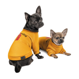 Толстовка Superdog оранжевая Pet Fashion