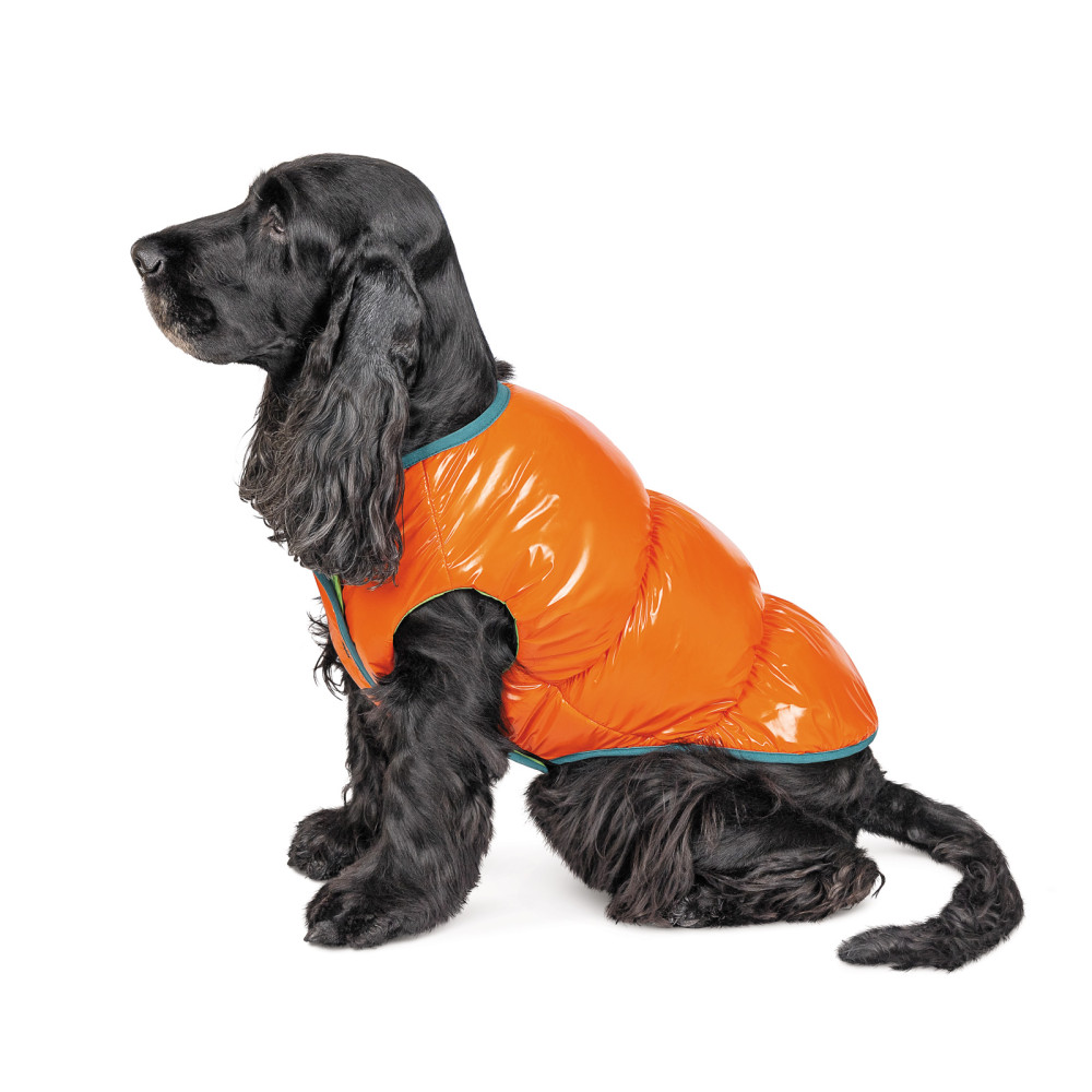 Жилет Spring оранжевый Pet Fashion