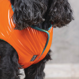 Жилет Spring оранжевый Pet Fashion