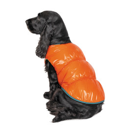 Жилет Spring оранжевый Pet Fashion
