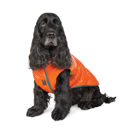 Жилет Spring оранжевый Pet Fashion