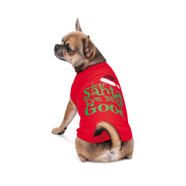 Борцовка PRESENT New Year 2021 Pet Fashion 