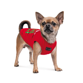 Борцовка PRESENT New Year 2021 Pet Fashion 