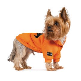 Толстовка BATDOG Хеллоуин 2021 Pet Fashion