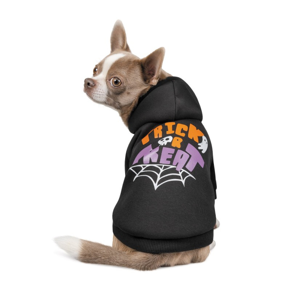 Толстовка WEB Хеллоуин 2021 Pet Fashion