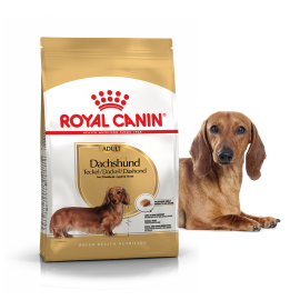 Royal Canin Dachshund 1.5кг корм для такс