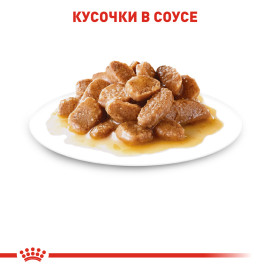 Royal Canine mini adult 85 g влажный корм 