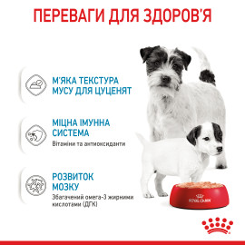 Royal Canine starter 190 g влажный корм 