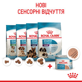 Royal Canine starter 190 g влажный корм 