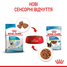 Royal Canine Xsmall puppy 85 g влажный корм 