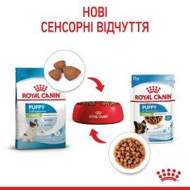 Royal Canine Xsmall puppy 85 g влажный корм 