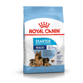 Royal Canin  MAXI STARTER
