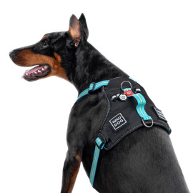 Шлея WAUDOG Nylon c QR паспортом