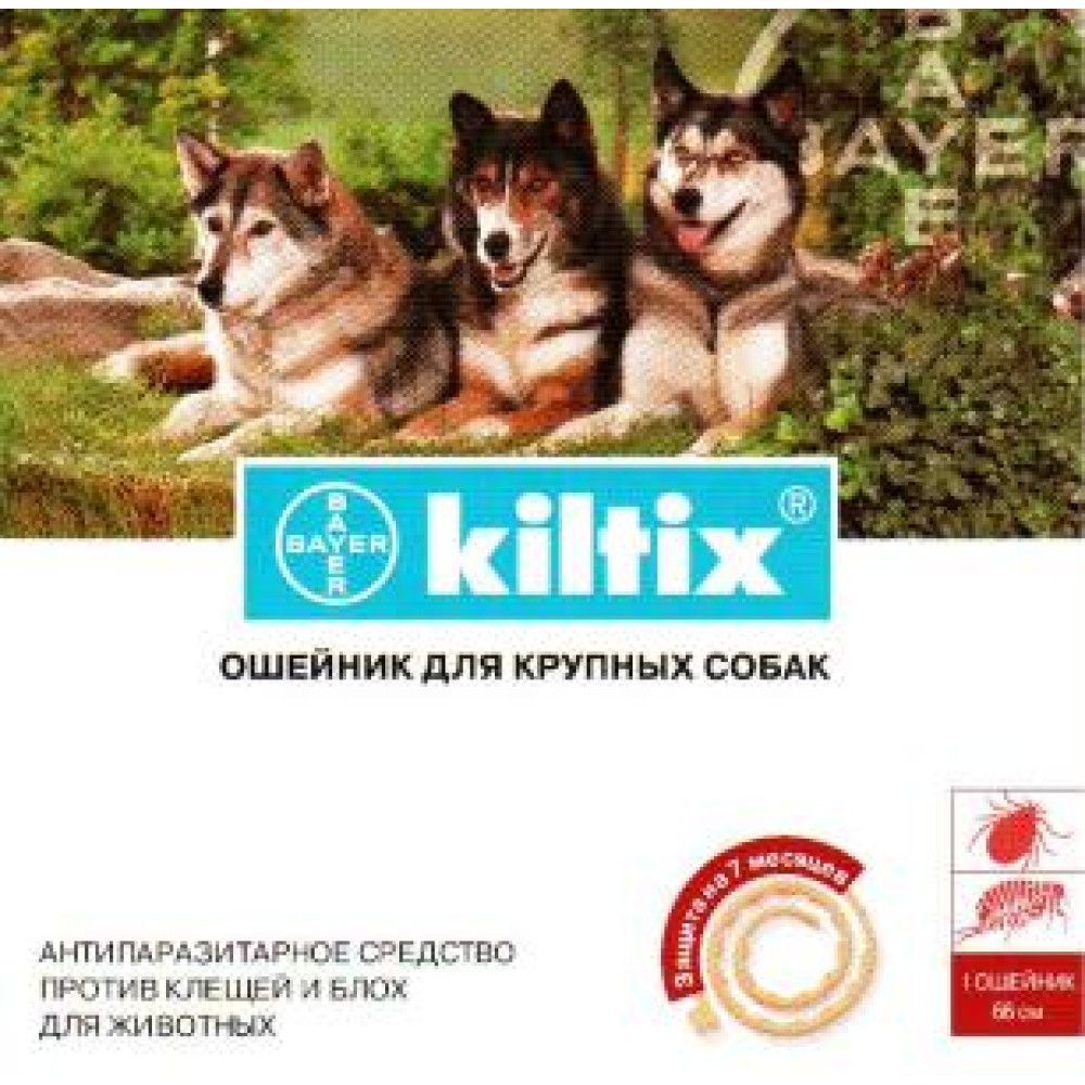 BAYER KILTIX (Килтикс) ошейник 66 см